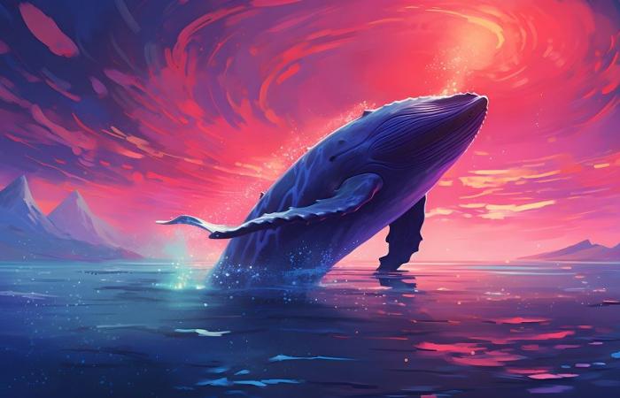 Ethereum whales accelerate their purchases due to price drop