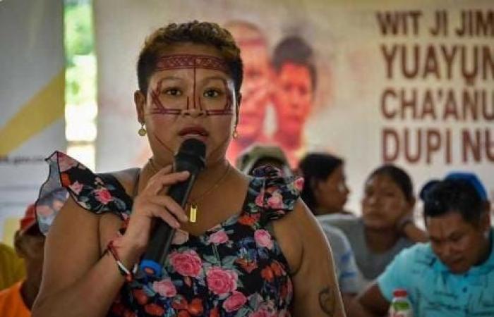 An indigenous leader of the Nukak ethnic group of Guaviare lost her life due to a suicide attempt