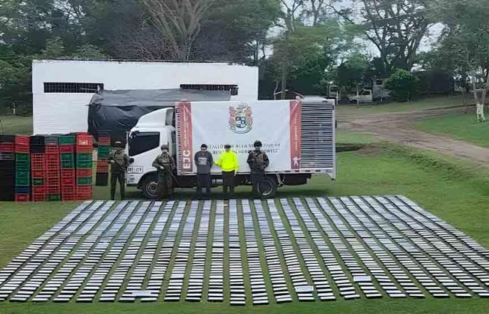 They seize 1.5 tons of cocaine in the department of Cauca
