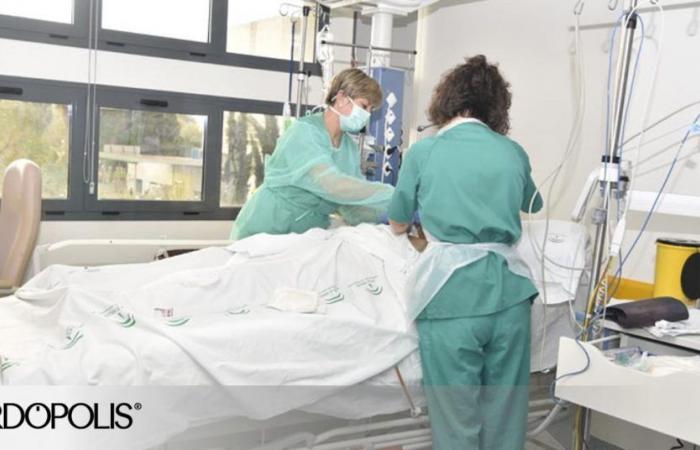 The Palliative Care Unit of the Reina Sofía Hospital in Córdoba, recognized as “excellent”
