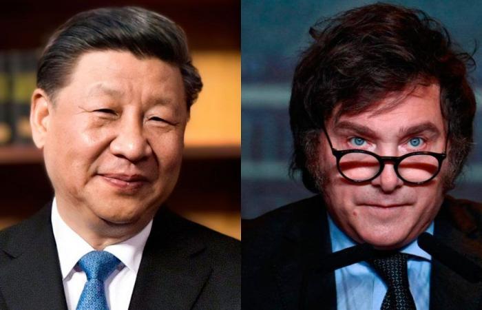Are bilateral relations between China and Argentina strengthening? Javier Milei could visit Beijing in the month of July