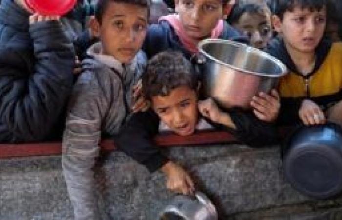 Nutritional crisis seen for children in Gaza – Escambray
