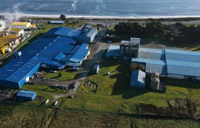 Salmones Aysén stops operating one of its plants: gives reasons