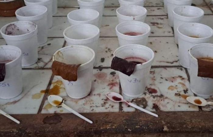 Natural dyes from wine lees