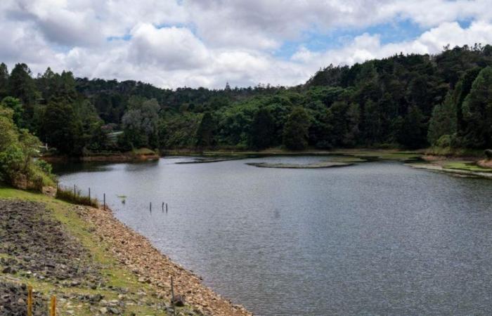 EPM reservoirs in Antioquia reach almost 38%