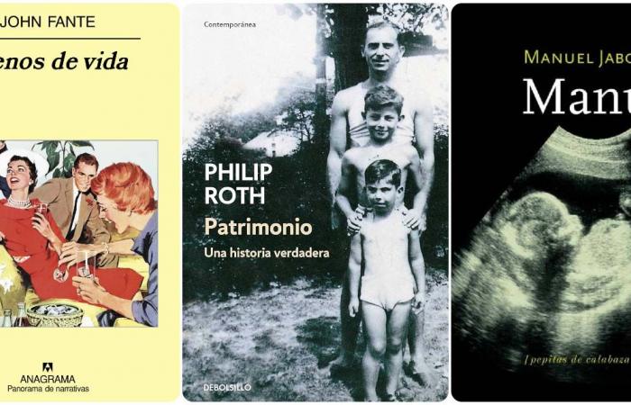 10 books about the father
