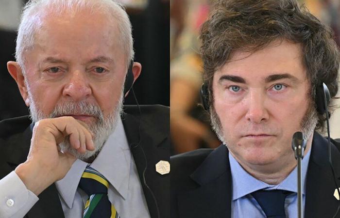 Cold air between Lula and Milei: unanswered letters and indifference in the G7 | The freezing of presidential diplomacy between the Brazilian leader and his Argentine counterpart