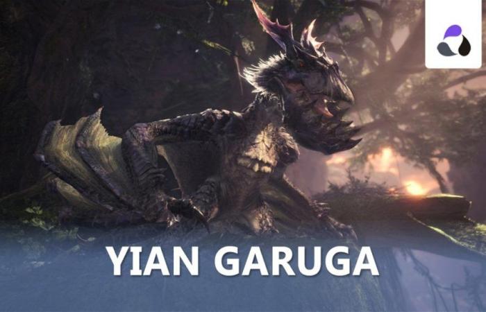Yian Garuga in Monster Hunter World: location, weaknesses and rewards