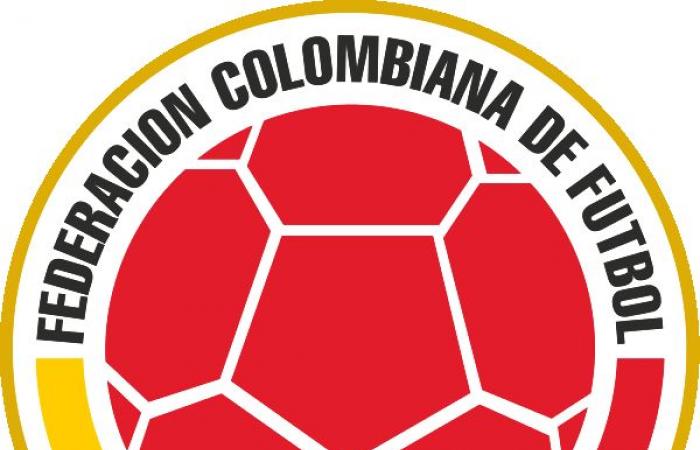 The guide with all the information on the Copa América 2024