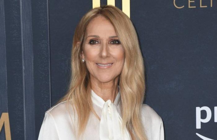 Celine Dion lives a key day in the midst of her fight against her illness