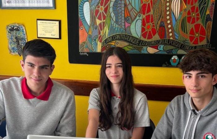 Three students from Mendoza, to the Microsoft World Cup in the US