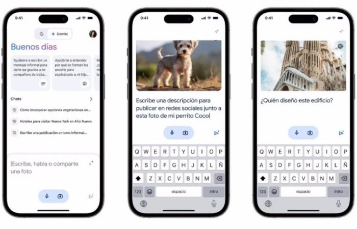 The Gemini chatbot is now available for iOS in the Google app