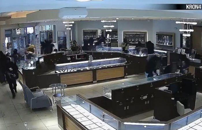 At hammerpoint, 20 criminals looted jewelry in California