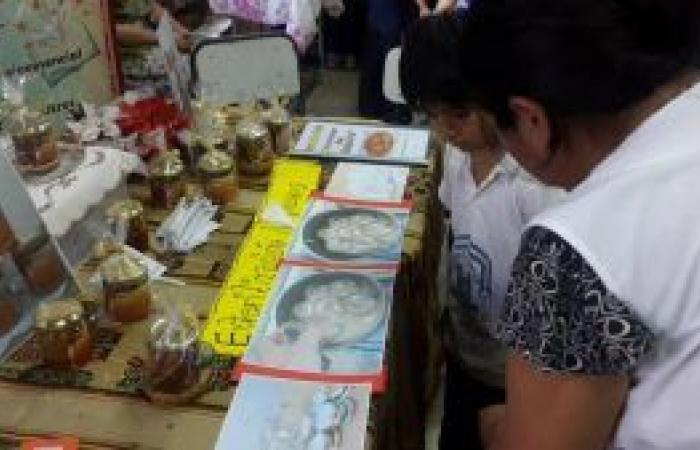 Dates confirmed for the Provincial Art, Science and Technology Fair 2024 – Ministry of Education