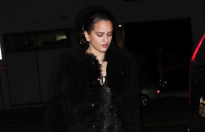 Mob Wife: From Rosalía to Kim Kardashian or Penélope Cruz: the fur coat even if it’s hot | Fashion | S Fashion