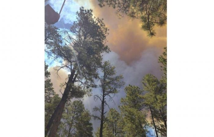 Residents flee Ruidoso, New Mexico, due to raging wildfires