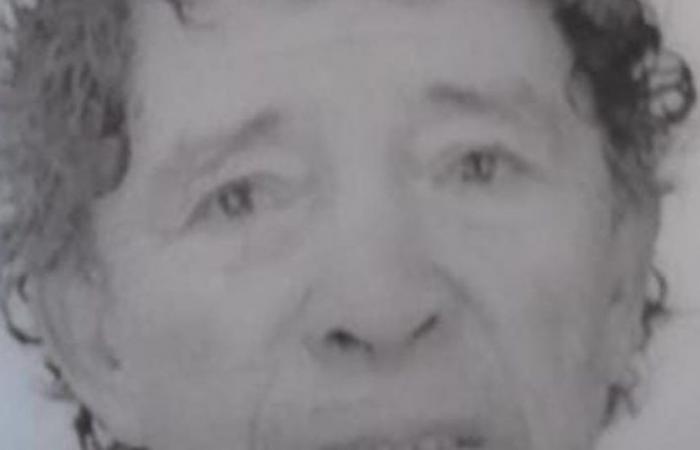 Family reports disappearance of “Desafinado” from Sábado Gigante – Publimetro Chile