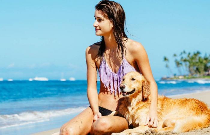 Can I go with my dog ​​to the beach? This is what the new animal welfare law says