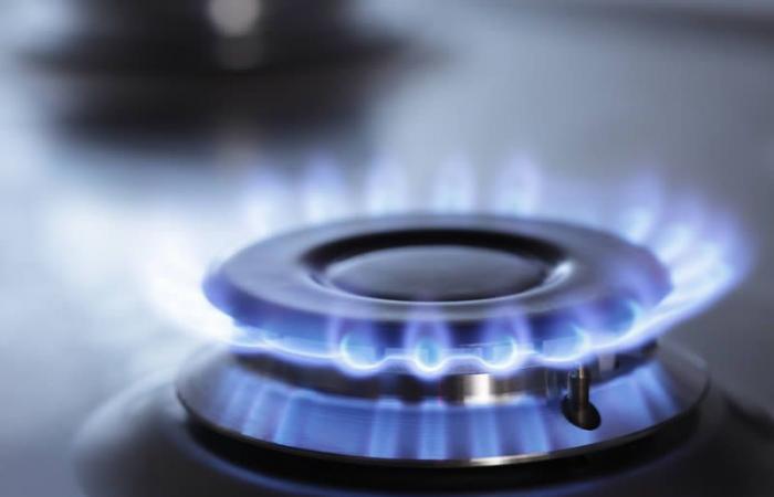 Ministry of Energy modified seasonal gas and energy prices, limits and bonuses