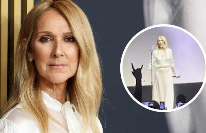 Céline Dion burst into tears at the presentation of her documentary