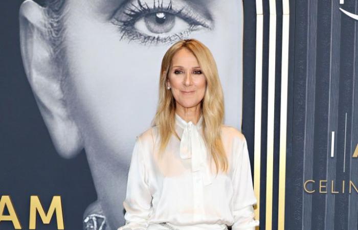 Céline Dion makes a spectacular comeback after her serious illness with a white shirt and satin skirt