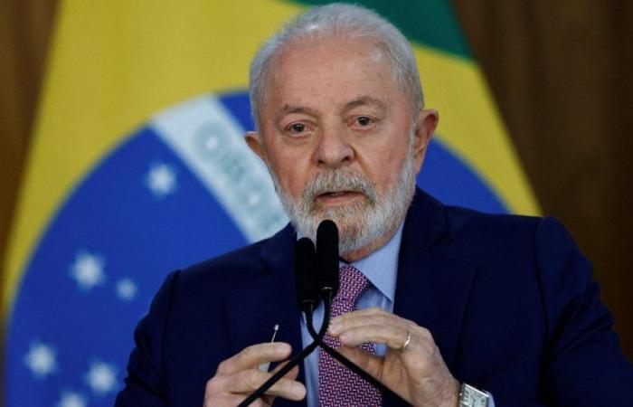 accused its head of harming the Brazilian economy