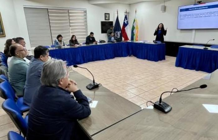 Electricity Subsidy for Vulnerable Families Promoted in Tarapacá