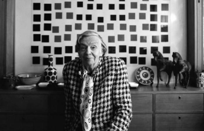 the pioneer of kinetic art and op-art in Latin America