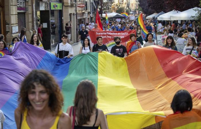 The LGTBI+ Pride march in La Rioja asks for respect