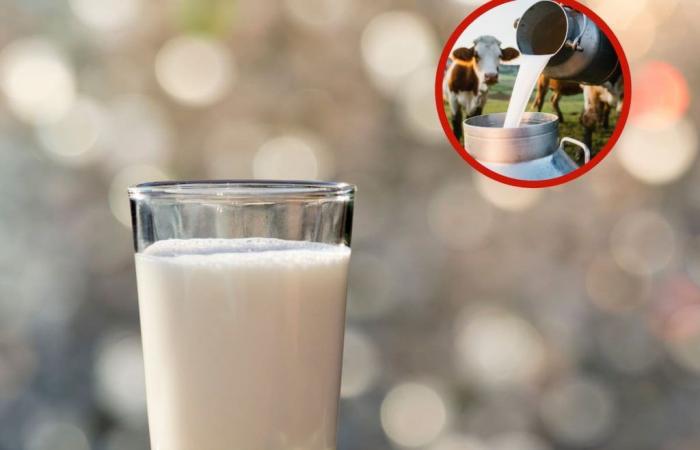 The price of milk could continue to increase after producers’ crisis: Analac
