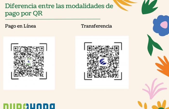 Online payment with QR code: Which one is the right one?