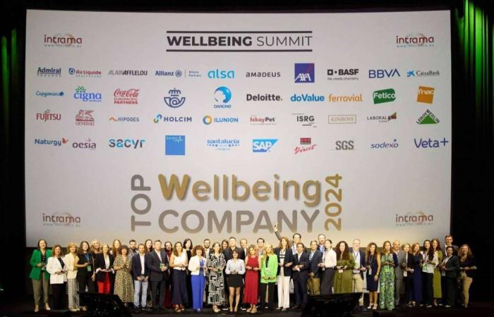 Corporate Wellbeing Report; X-ray of the corporate strategy of the TOP50 WELLBEING COMPANY