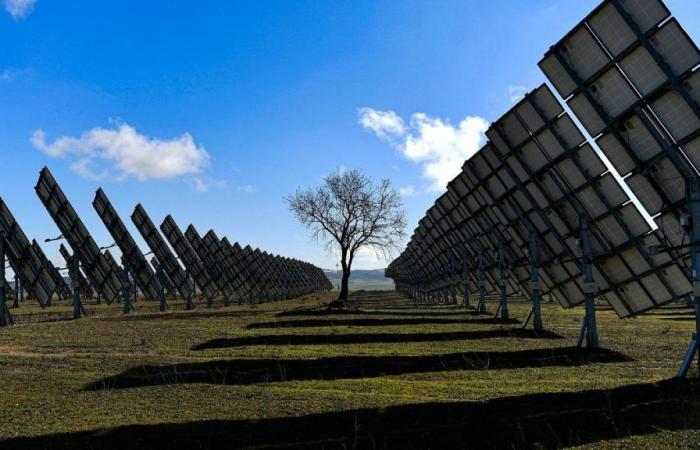 Solar energy becomes a “serious” player in the electricity market and Spain leads the sector