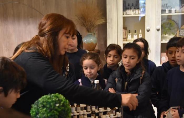 Educational Tourism: students from San Miguel de Tucumán visited Tafí Viejo