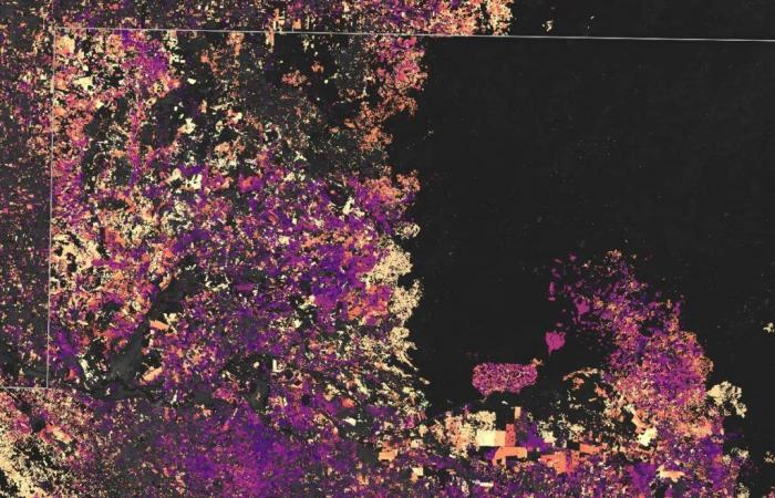 The devastation of the Mayan Jungle, NASA shows alarming photos