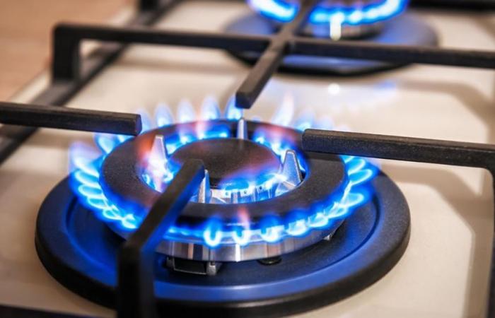 After the reduction of subsidies, gas rates rose 1100%
