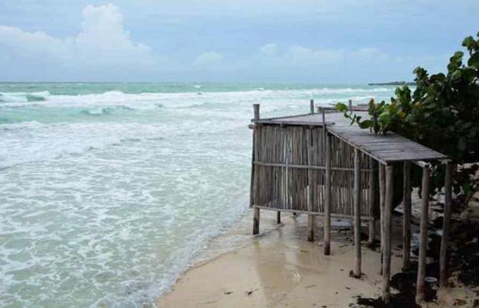 Actions of the Tarea Vida plan continue in the northern keys of Cuba