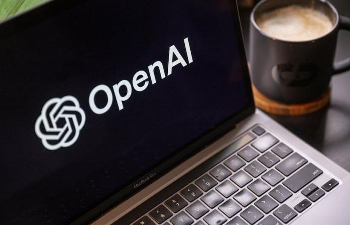 OpenAI co-founder launches security-focused artificial intelligence company | TECHNOLOGY