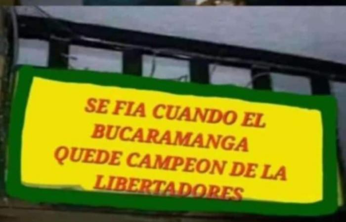 It’s now official: ‘it will be trusted’ when Atlético Bucaramanga is champion of the Copa Libertadores