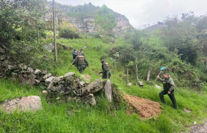 Operation of the Boyacá Police during the previous week.