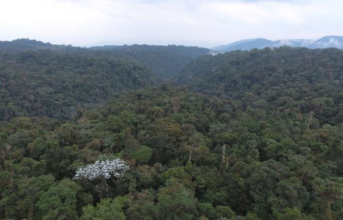 CAM undertakes characterization of nature tourism in protected areas of Huila