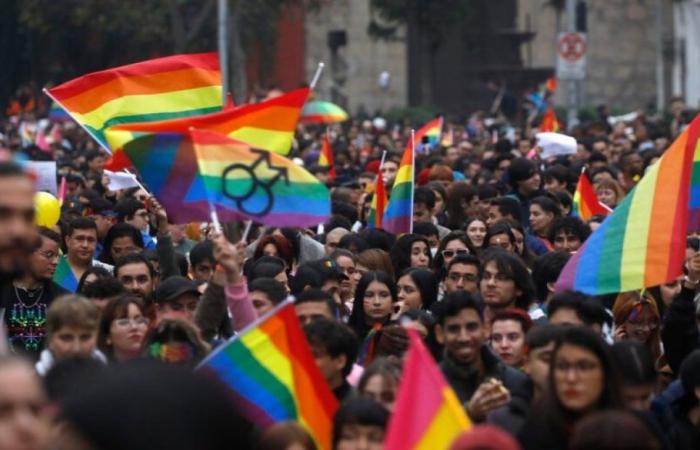 Pride Month: 60% support that health insurance in Chile should cover gender transition