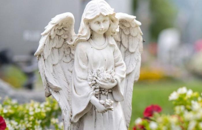 This is the message from the angels for each sign to find full hope this June 19