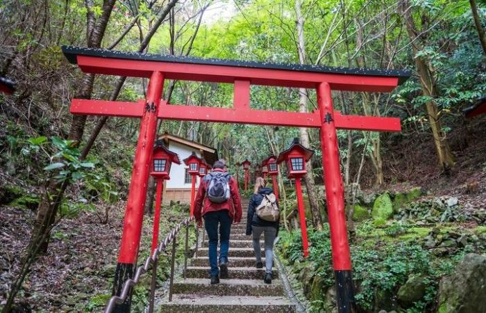 Japan opened an internship program for Argentines with travel and accommodation included: how to sign up