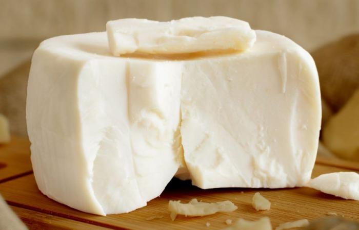 Are you a cheese lover? Researchers find new health effect