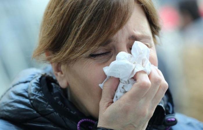 Seasonal flu in La Rioja: “We have a 30% increase in cases, compared to the same time last year”