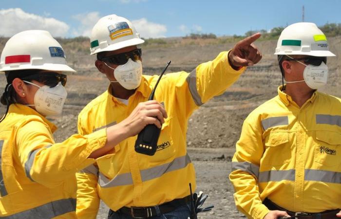 Guajira company in the mining sector in the TOP 100 of Merco Talent 2024