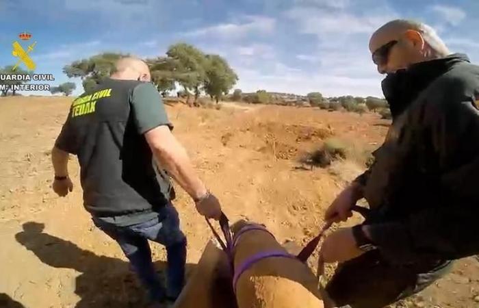 CIVIL WAR BOMB CÓRDOBA | A resident of Hinojosa finds an aviation bomb from the Civil War in the field