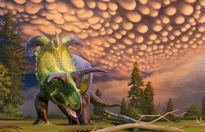 A new species of herbivorous dinosaur with giant horns discovered in the US