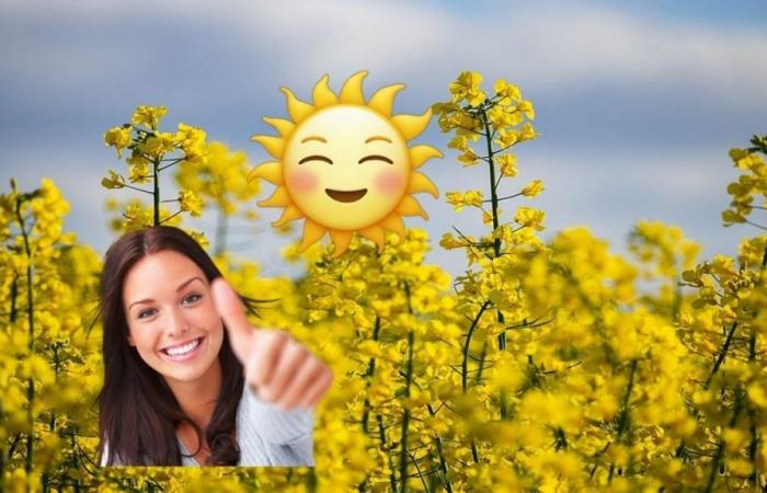 Myth or Reality? These are the best memes for Yellow Day, the happiest day of the year